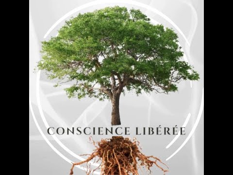 PRÉSENTATION DE NOTRE APPROCHE VIBRATOIRE UNIQUE - Hypnose Consciente par lecture Interface Incarnée