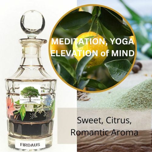 Firdaus Attar au bois de santal – Image 3