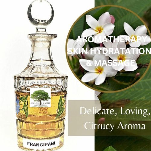 Frangipanier au bois de santal – Image 3