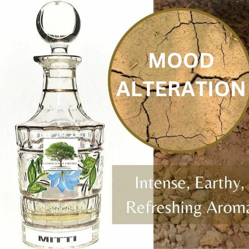 Mitti Attar au bois de santal – Image 3