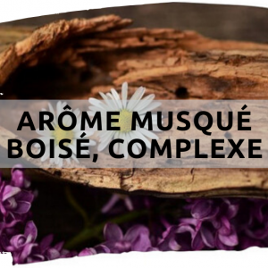 Shamama Oud Au Bois De Santal