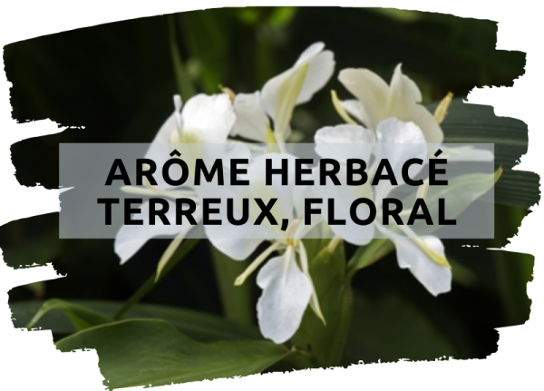 Arôma LÉger, Doux & Floral (2)
