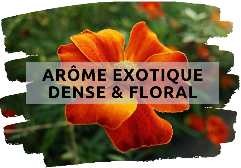 Arôma LÉger, Doux & Floral (3)