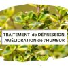 mixé à des herbes et fleurs - L'usage du parfum est connu pour ses vertues thérapeutiques, traite la fatigue mentale, l'anxiété, le stress