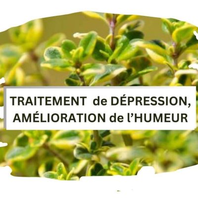 mixé à des herbes et fleurs - L'usage du parfum est connu pour ses vertues thérapeutiques, traite la fatigue mentale, l'anxiété, le stress