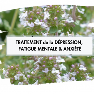 Tout Ce Que L’on Fuit, Nous Poursuit