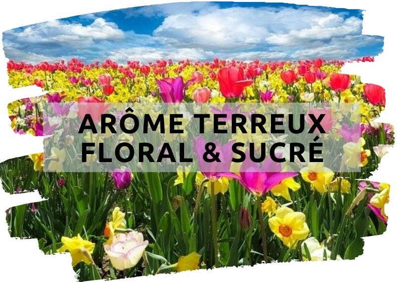 Arôma LÉger, Doux & Floral (1)