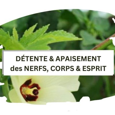 mixé à des herbes et fleurs - L'usage du parfum est connu pour ses vertues thérapeutiques, traiteles problèmes d'ordre musculaire et articulations et les jointures