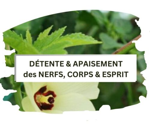 mixé à des herbes et fleurs - L'usage du parfum est connu pour ses vertues thérapeutiques, traiteles problèmes d'ordre musculaire et articulations et les jointures