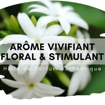 Chameli attar au bois de santal