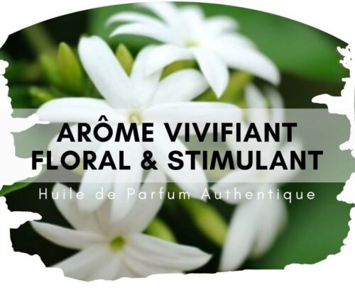 Chameli attar au bois de santal