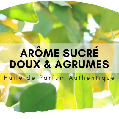 Firdaus Attar au bois de santal