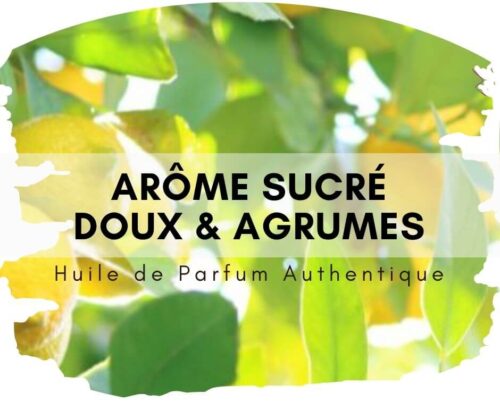 Firdaus Attar au bois de santal