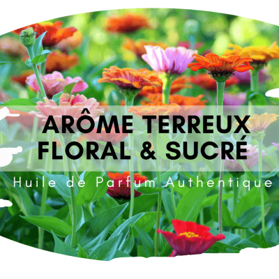 Ludo Attar au bois de santal