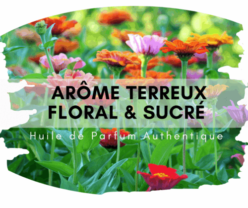 Ludo Attar au bois de santal