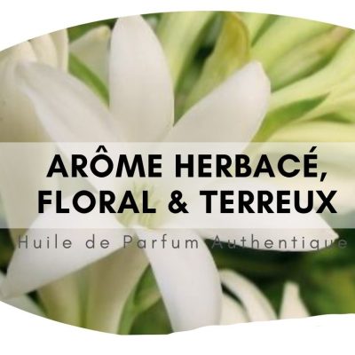 Majmua attar au bois de santal