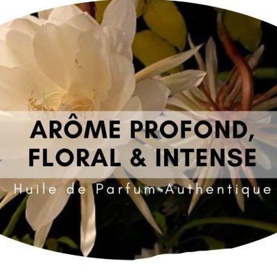 Night Queen attar au bois de santal