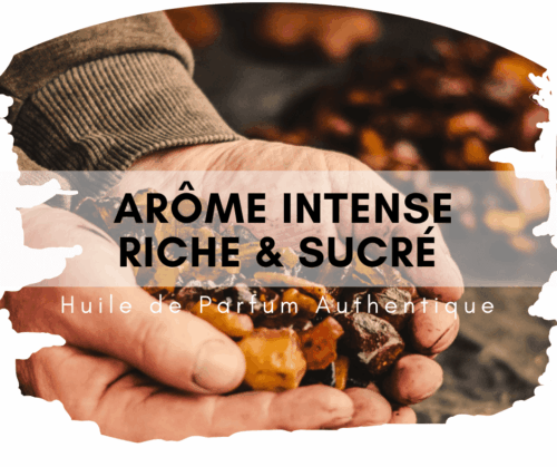 Ambre Royal Attar au bois de santal
