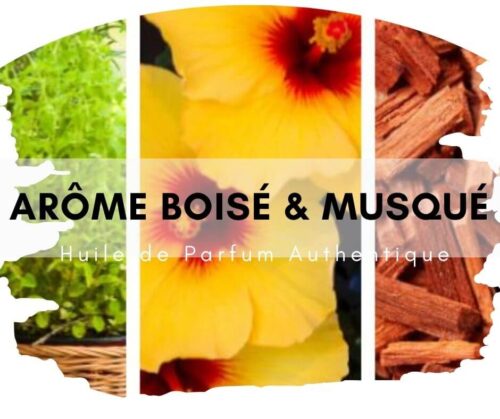 Musc Jaune Attar au bois de santal
