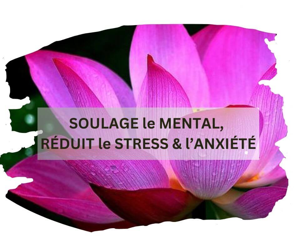 calme l'esprit et ouvre la voie à la psyche, soulage le stress et l'anxiété, fait circuler, activer l'énergie dans le corps physique.