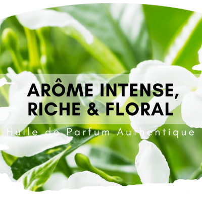 Juhi Attar ou Jasmin Indien au bois de santal