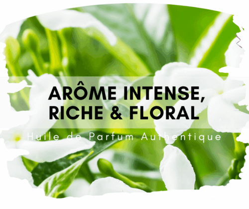 Juhi Attar ou Jasmin Indien au bois de santal