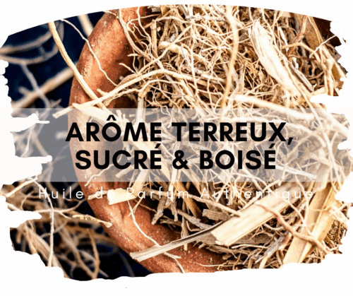 Vetiver Attar au bois de santal