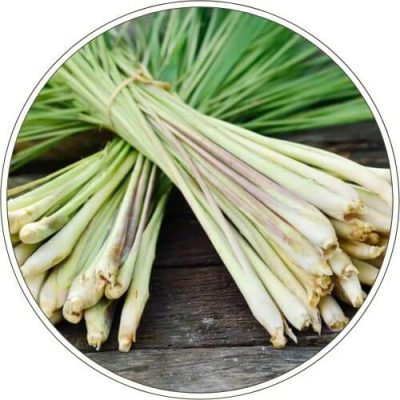 Huile Essentielle de LemonGrass