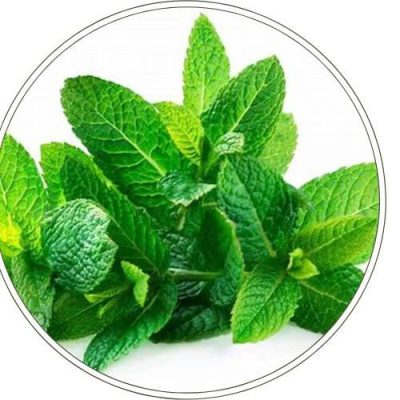 Huile Essentielle de Menthe Poivrée
