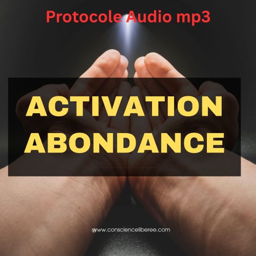 Audio mp3 : Créez l’Abondance en Soi, inspiré du Dr Dispenza